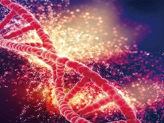 奥拉帕尼在转移性前列腺癌中的应用
