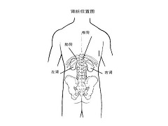 阿西替尼和索拉菲尼有何异同？