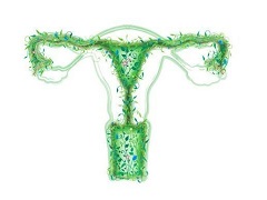 如何准确预防卵巢癌？