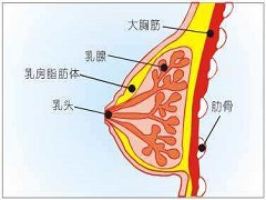 帕博西尼在联合应用中安全有效