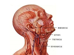 托西莫单抗使用方法