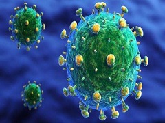 伏立诺他有助于研发抗HIV疫苗