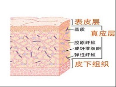 皮肤纤维肉瘤该如何治疗？