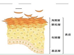 皮肤纤维肉瘤是怎么引起的？