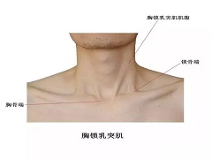 PD-1抑制剂可改善头颈癌患者生活质量