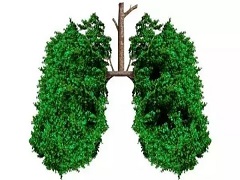 曲美替尼加达拉菲尼对部分肺癌患者有效