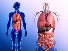 卡博替尼用于转移性乳腺癌