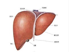 瑞格非尼在晚期软组织肉瘤中的活性和安全性