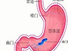 曲妥珠单抗治疗转移性胃癌患者效果好吗