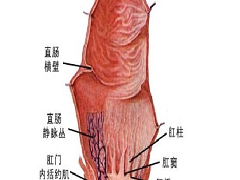 西妥昔单抗治疗结直肠癌的效果好吗