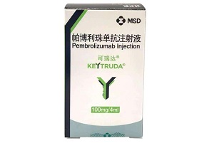 帕博利珠单抗,Keytruda