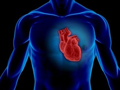 心脏再生技术是什么