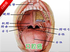 海得康海外资讯：口腔癌患者有新疗法？