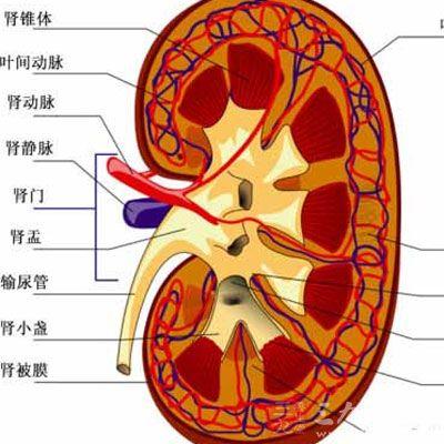 肾积水有哪些治疗方式？